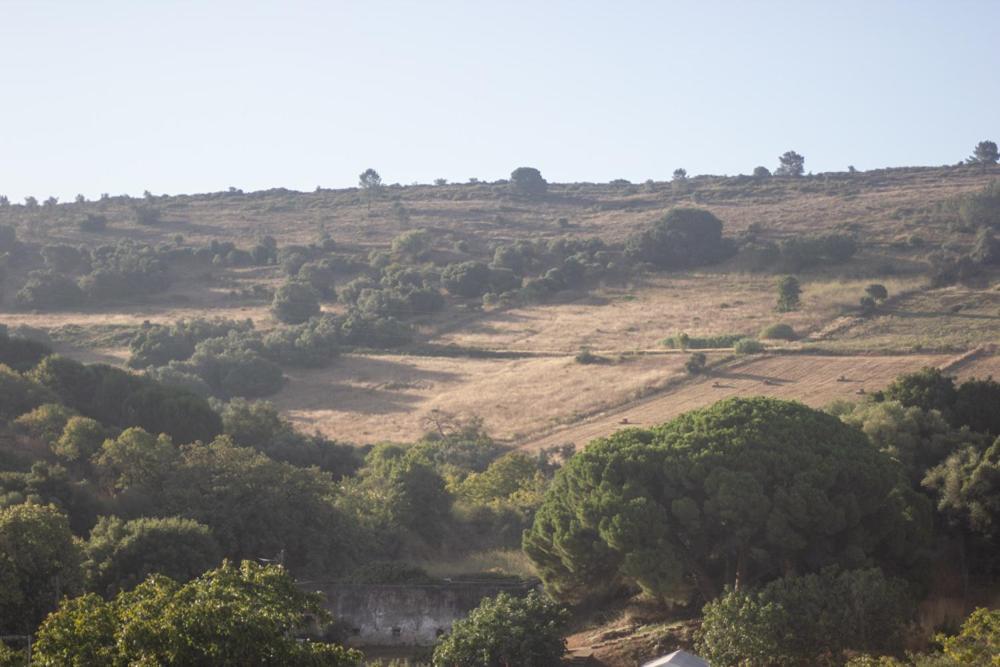 Refugio Do Ze Tobias Villa Quinta do Anjo Exteriör bild